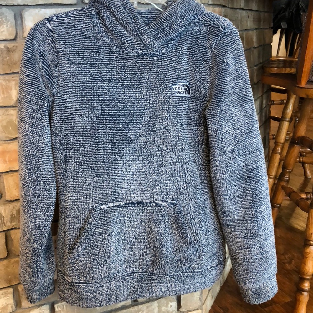 The North Face Osito Hooded Pullover